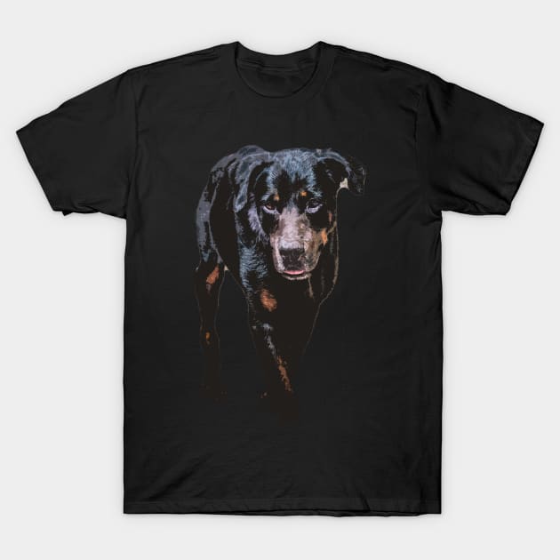 rottweiler T-Shirt by rickylabellevie